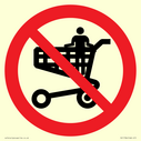 p925-prohibition-no-standing-in-trolley~